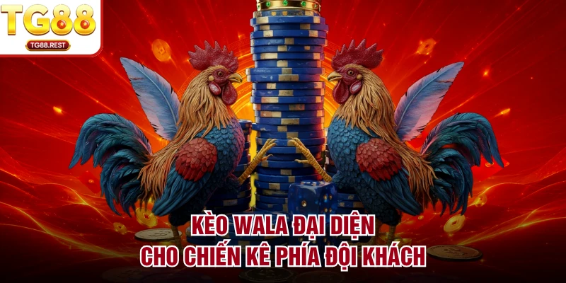 Kèo Wala đại diện cho chiến kê phía đội khách