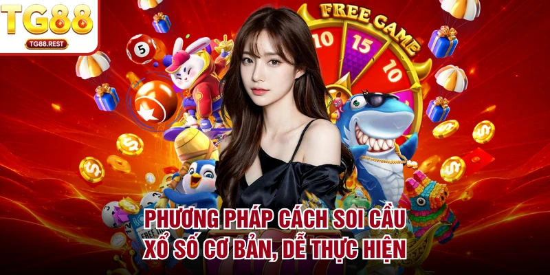 Phương pháp cách soi cầu xổ số cơ bản, dễ thực hiện 