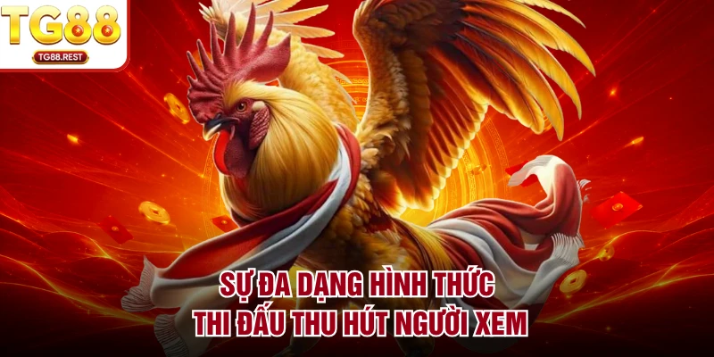 Sự đa dạng hình thức thi đấu thu hút người xem